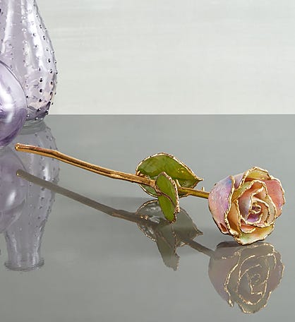 Iridescent Pastel - Copper Dipped Rose